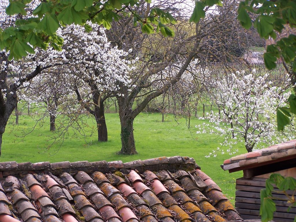 Clos De Pomeir Guest House Pommiers  Luaran gambar